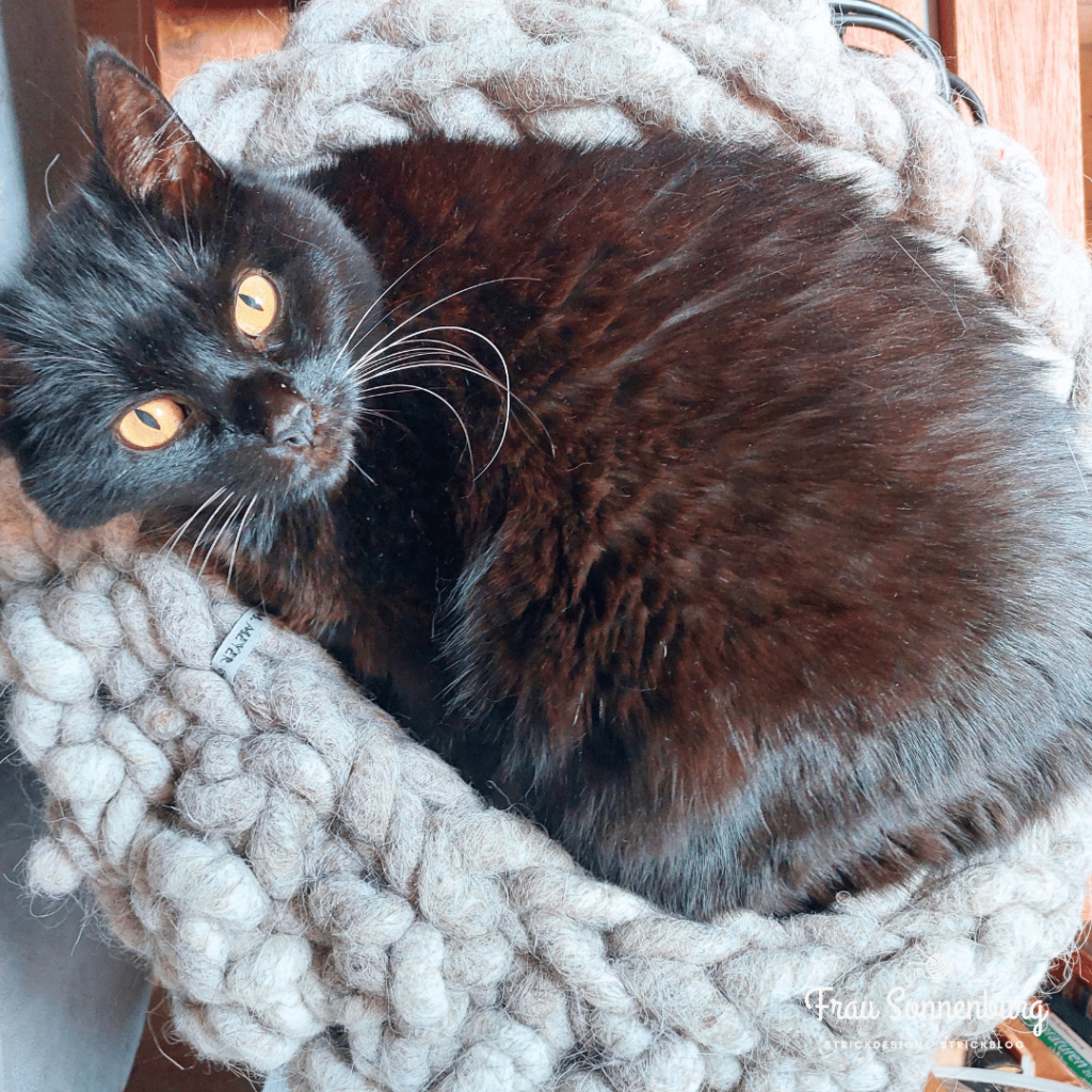 schwarze Katze in grauem, gestrickten Katzenkorb - Strick ist schick
